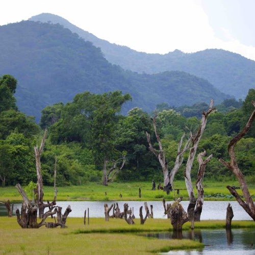 Lunugamwehera Lake