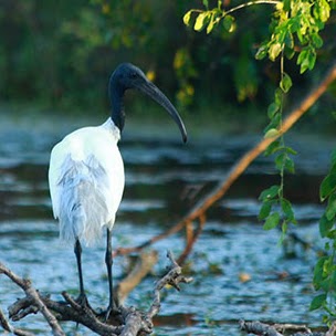 Bundala National Park