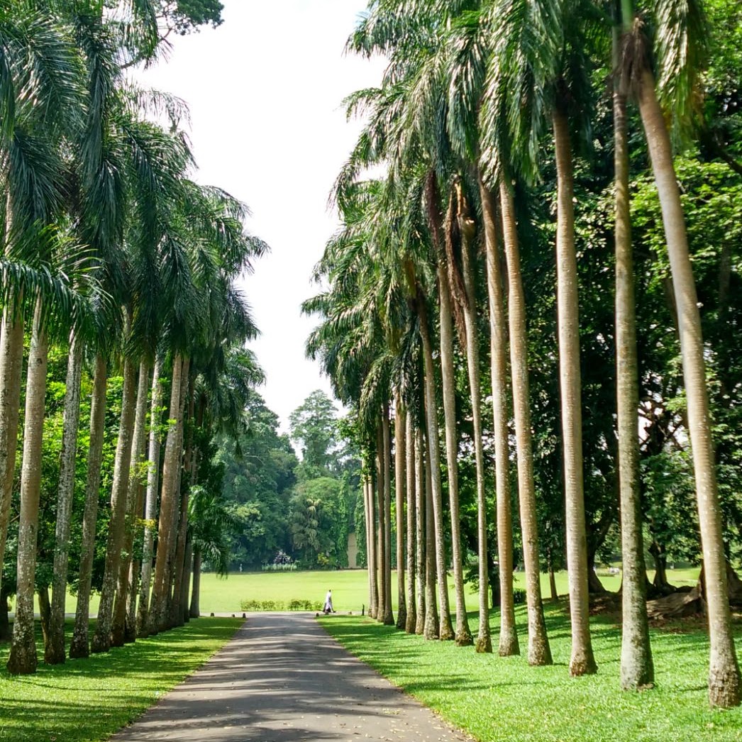 Peradeniya