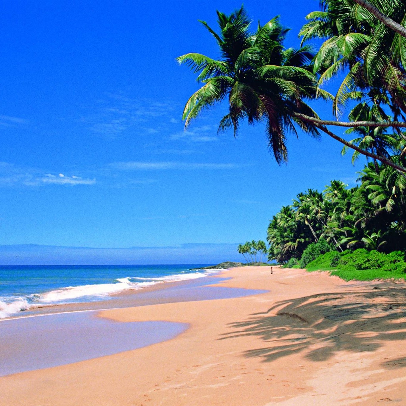 Southern beach