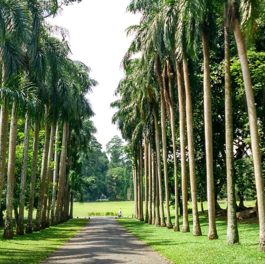 Peradeniya