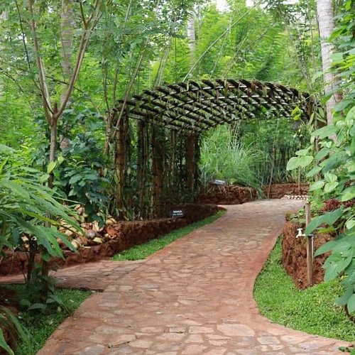 Spice garden
